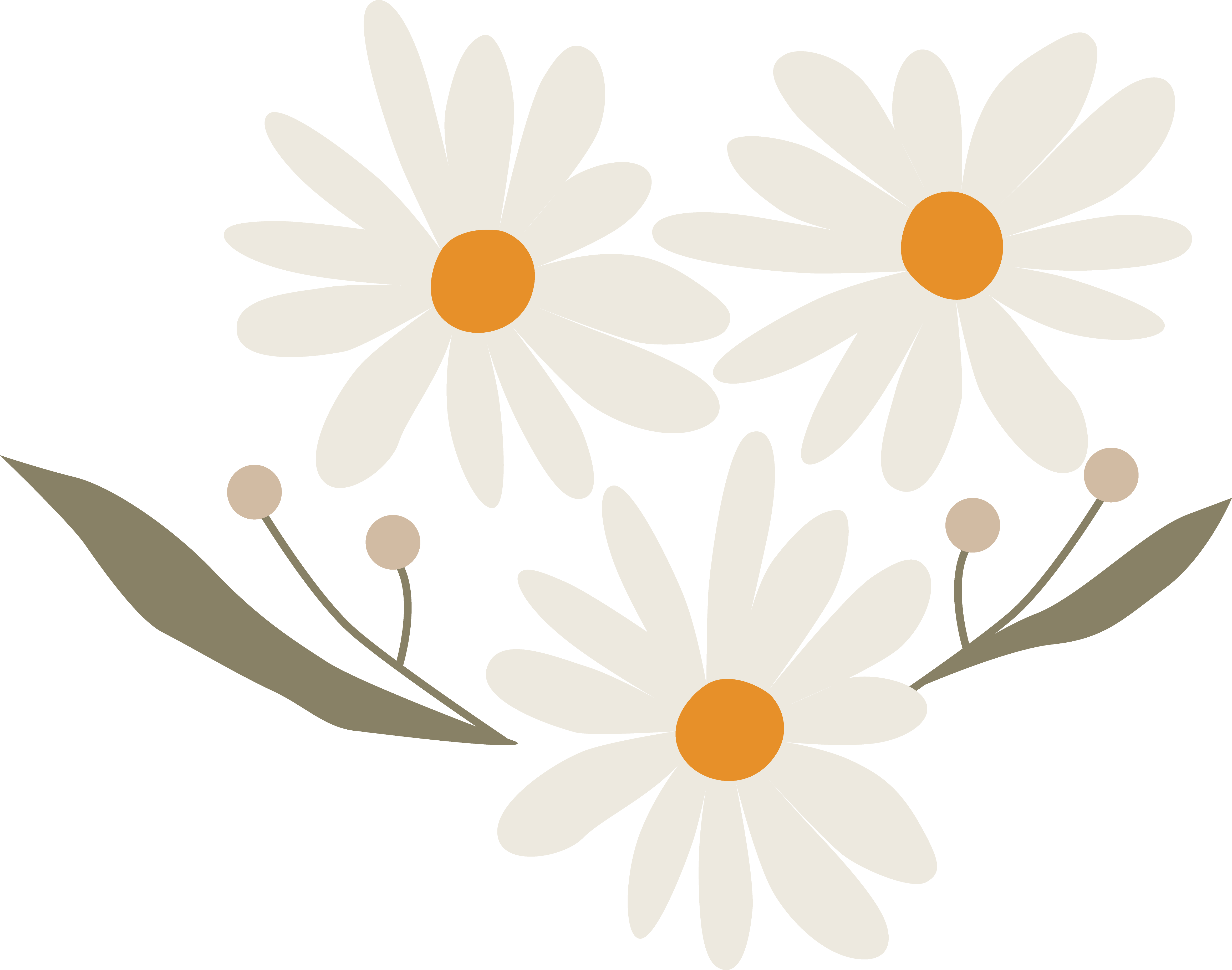 Daisy Clipart